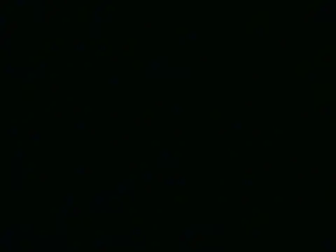 ChubbyButty online show from 25, 4, 2026