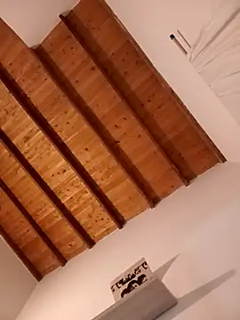 valeriahornier online show from 16, 4, 2026