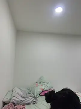 violeta365 online show from 26, 4, 2026