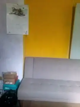 876tom online show from 6, 3, 2026