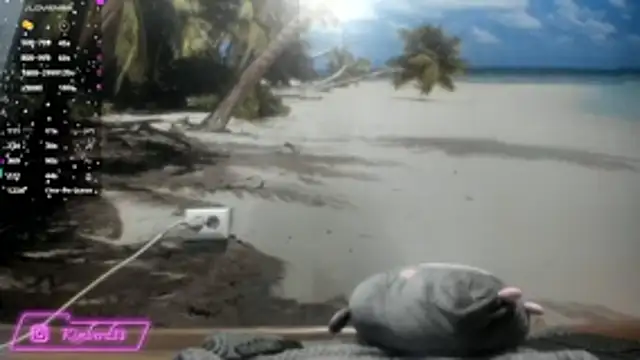 kimberd33 online show from 26, 2, 2026