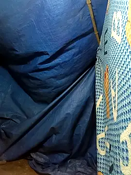 lisa-bae00 online show from 17, 11, 2025