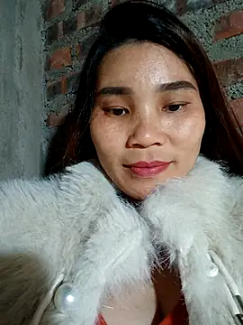 Bear bear0 online show from 26, 11, 2025