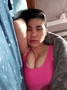 Bear bear0 online show from 11, 3, 2026