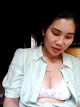 Bear bear0 online show from 24, 3, 2026