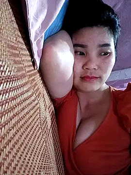 Bear bear0 online show from 20, 4, 2026