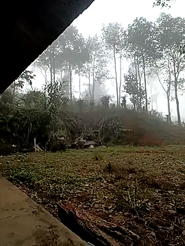 sowbibi online show from 15, 12, 2025