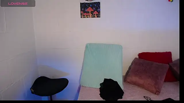 Snapshot of _IR1S_ chatting on 28, 7, 2026 IR1S online show from 28, 7, 2026