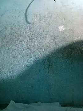 naveen 3222 online show from 5, 12, 2025