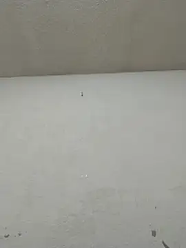 Chicattoo69 online show from 20, 11, 2025