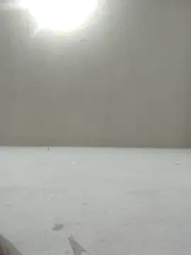 Chicattoo69 online show from 2, 12, 2025