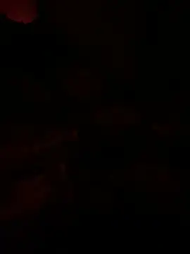 llllllllIIIll online show from 9, 3, 2026