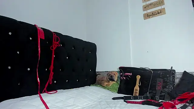 Snapshot of abby_mullerr chatting on 3, 12, 2025 abby mullerr online show from 3, 12, 2025