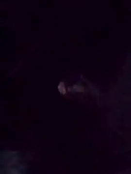 zinzin-xx online show from 25, 10, 2025