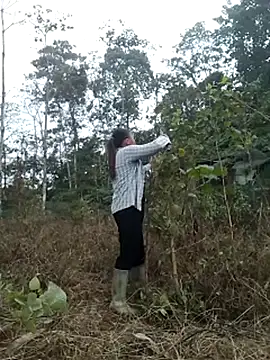 zinzin-xx online show from 27, 10, 2025