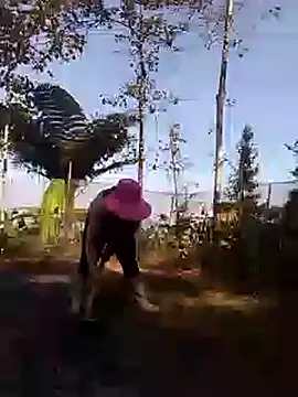 zinzin-xx online show from 28, 10, 2025