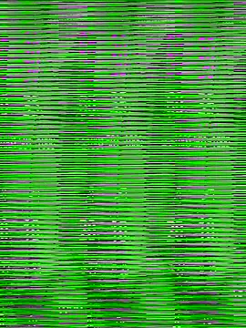 chich-bong online show from 15, 12, 2025