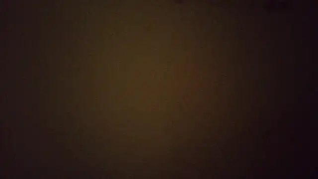 Biancka  online show from 11, 6, 2026