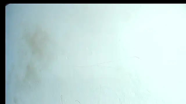 alahia66 online show from 21, 4, 2026