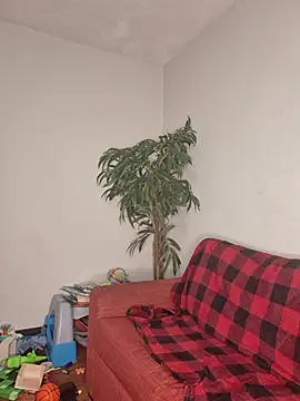 SweetieP11 online show from 3, 11, 2025