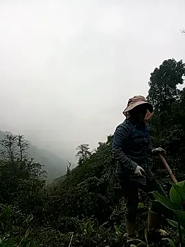 Phoena-a online show from 27, 4, 2026