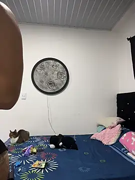 Hot2gether69 online show from 11, 11, 2025