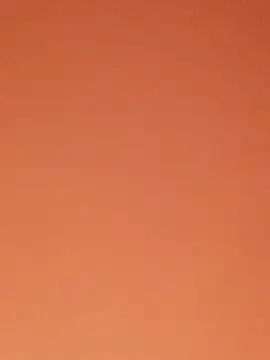 SiennaBite online show from 26, 11, 2025