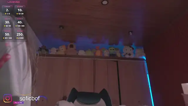 sofi sc online show from 9, 11, 2025