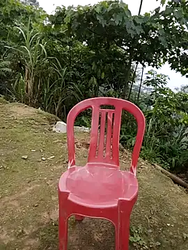 doggy-00 online show from 28, 4, 2026