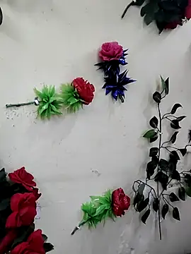 Indian-Glory online show from 13, 12, 2025