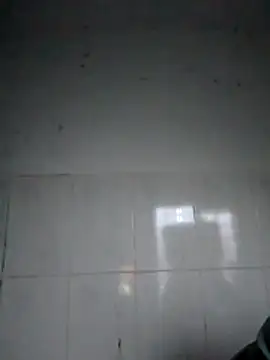 bella-la online show from 5, 2, 2026