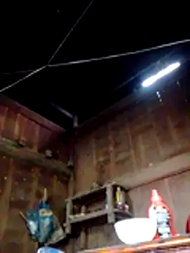 bella-la online show from 8, 3, 2026