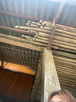 Sophia-123 online show from 26, 4, 2026