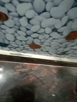 Pandey0012 online show from 12, 3, 2026