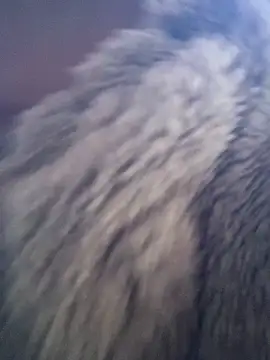 huttonmay358 online show from 24, 11, 2025