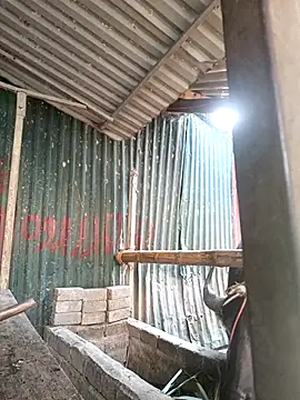 yoyo-mi online show from 27, 11, 2025