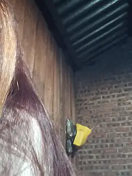 HGiasexy69 online show from 2, 11, 2025