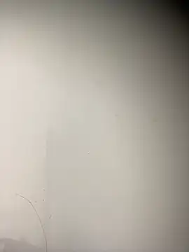 sabrinaneves online show from 11, 2, 2026