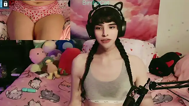 BimboCat online show from 31, 10, 2025