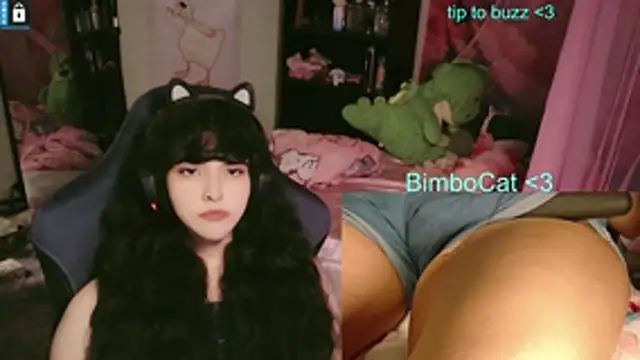 BimboCat online show from 14, 6, 2026