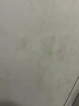 Isamperry69 online show from 31, 10, 2025