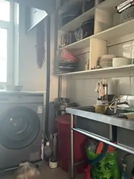 aniani11 online show from 24, 4, 2026