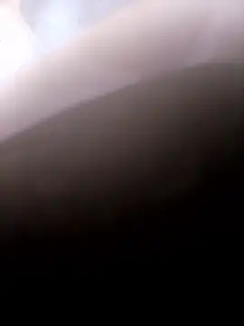 Snapshot of pino870 chatting on 14, 1, 2026 pino870 online show from 14, 1, 2026