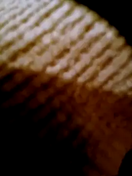 Snapshot of pino870 chatting on 17, 2, 2026 pino870 online show from 17, 2, 2026