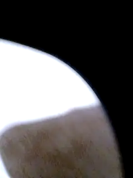 Snapshot of pino870 chatting on 20, 2, 2026 pino870 online show from 20, 2, 2026