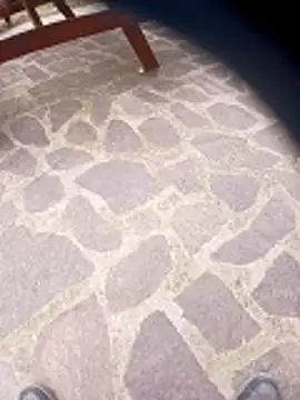 pino870 online show from 29, 3, 2026