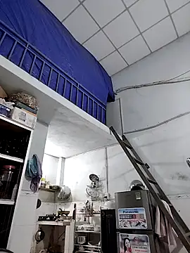 Liveryta online show from 28, 11, 2025