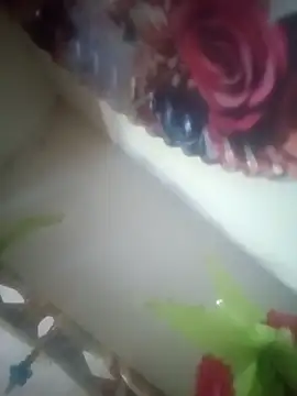 Pallu Asha online show from 14, 3, 2026