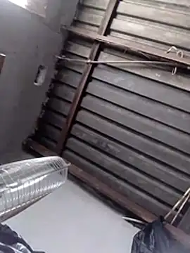 Teddypuer online show from 2, 11, 2025