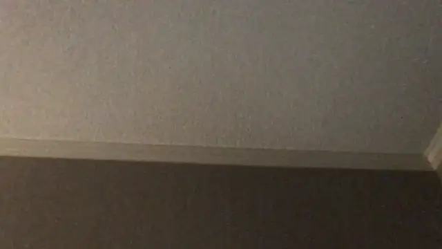 RyanSteeleXXX online show from 2, 12, 2025